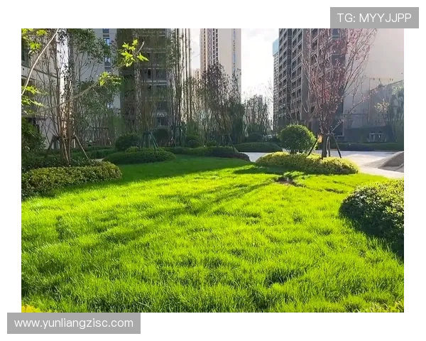 万户千家：点亮都市烟火，筑就温馨家园